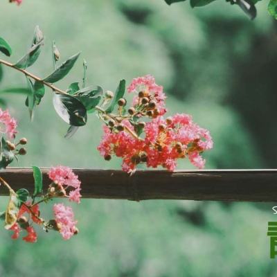 米乐app下载官网