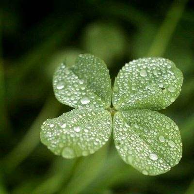 188金宝搏下载手机版